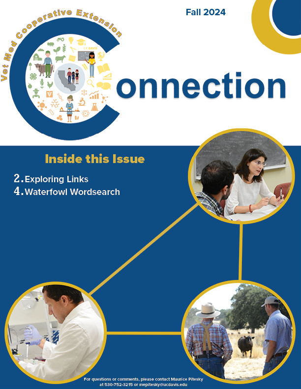 Cover Page of the Fall 2024 newsletter